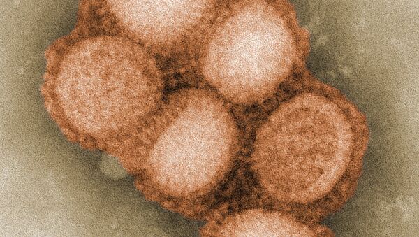 Virus de A/H1N1 bajo un microscopio - Sputnik Mundo