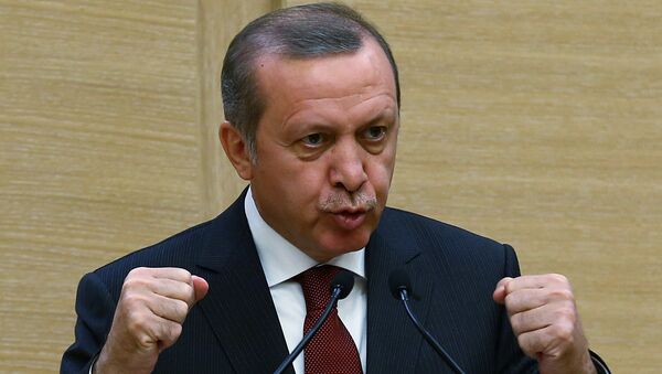 RecepTayyip Erdogan, presidente de Turquía - Sputnik Mundo