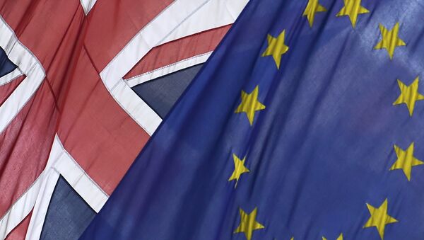 Cameron anuncia que el Reino Unido tendrá un estatus especial en la UE - Sputnik Mundo