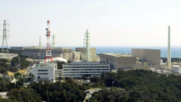 La central electronuclear japonesa de Hamaoka (archivo) - Sputnik Mundo