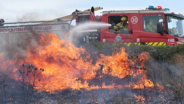 Firefighters attempt to extinguish a fast-moving grass fire in the Epping area of northern Melbourne during heatwave conditions in southeastern Australia - Sputnik Mundo