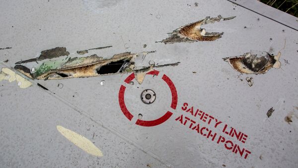 Parte del avión que realizaba el vuelo MH17 de Malaysia Airlines - Sputnik Mundo