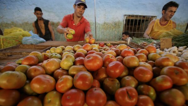 Un cubano vende tomatos en un mercado en el centro de La Habana - Sputnik Mundo