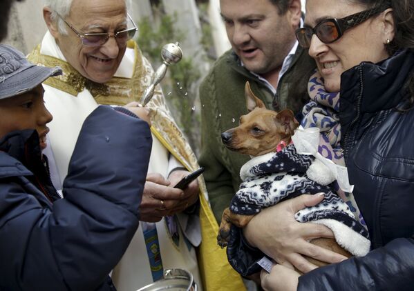 Mascotas reciben la bendición de San Antón - Sputnik Mundo