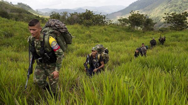 Guerilleros de FARC (archivo) - Sputnik Mundo