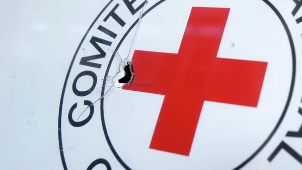 A bullet hole is seen on a sign, on a Red Cross office after shelling, in the town of Donetsk, eastern Ukraine - Sputnik Mundo