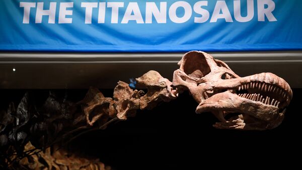 Esqueleto del Titanosaurio argentino en Nueva York - Sputnik Mundo