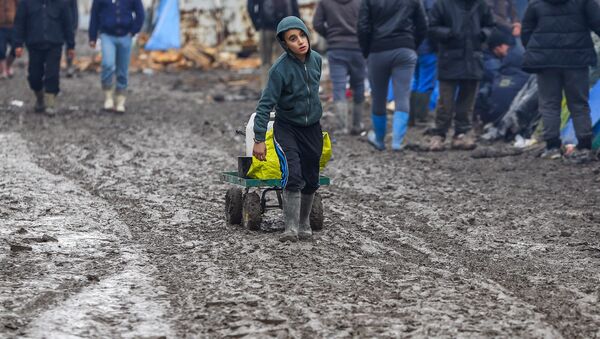Refugiado menor de edad en cercanías de Calais, Francia. Febrero 2016 - Sputnik Mundo