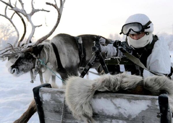 Huskies y ciervos al servicio militar ruso - Sputnik Mundo