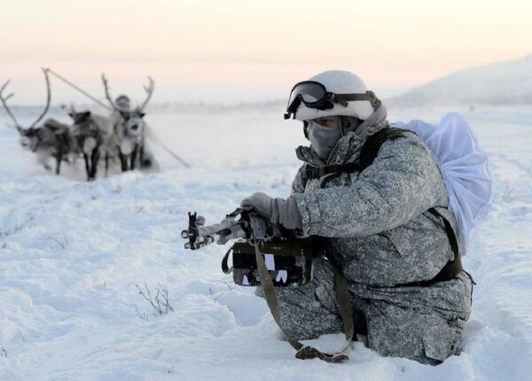 Huskies y ciervos al servicio militar ruso - Sputnik Mundo