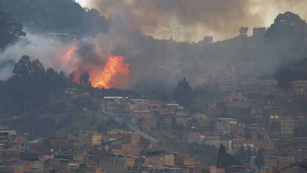 Smoke rises from a forest fire on a hill area, near neighborhoods on the south side of Bogota, Colombia - Sputnik Mundo
