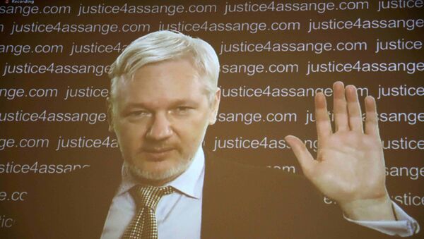 Julian Assange aparece en la pantalla de la rueda de prensa vía vídeo - Sputnik Mundo
