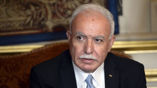 El ministro de Exteriores de Palestina, Ryiad al-Malki.  - Sputnik Mundo