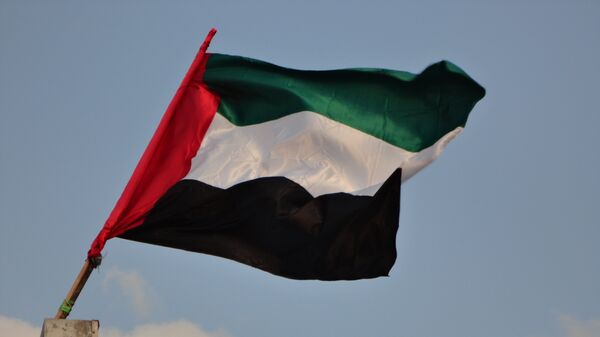 La bandera de Emiratos Árabes Unidos (archivo) - Sputnik Mundo