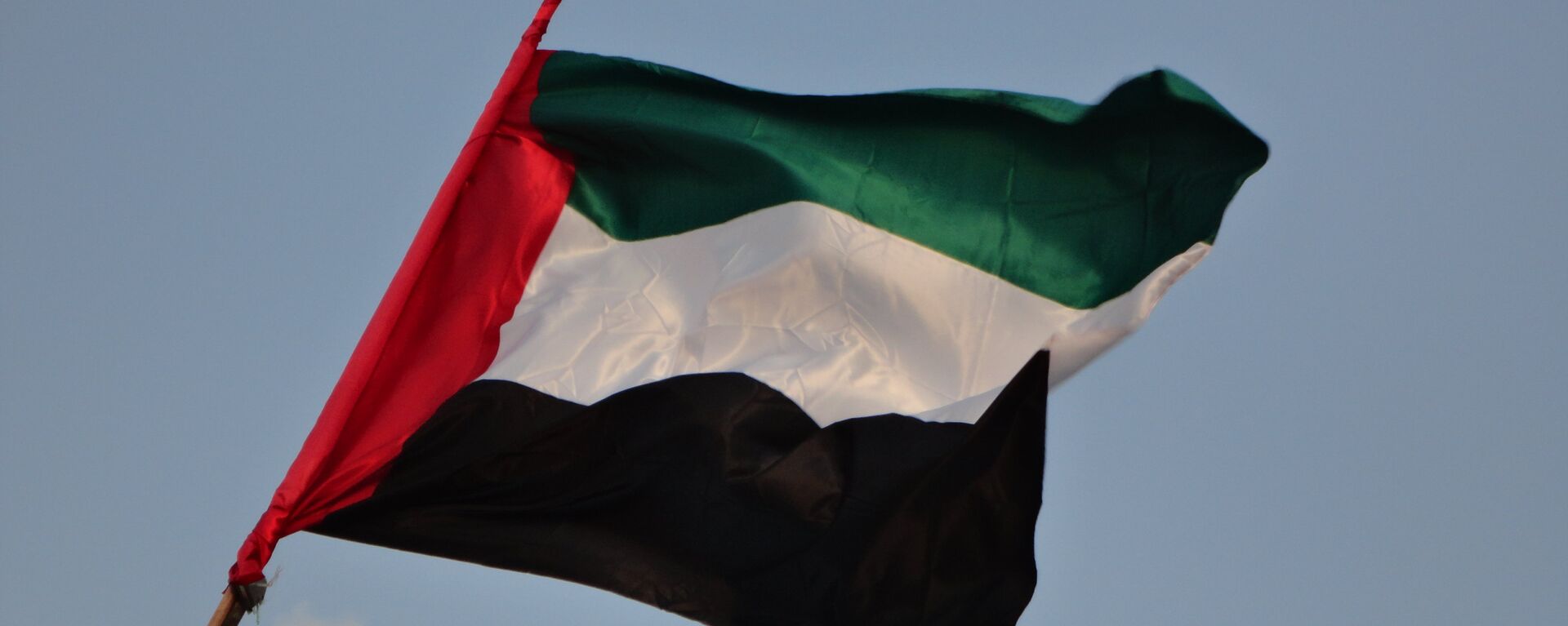 La bandera de Emiratos Árabes Unidos - Sputnik Mundo, 1920, 04.05.2022