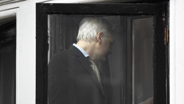 WikiLeaks founder Julian Assange returns into the Ecuadorian Embassy after making a speech from their balcony in central London, Britain February 5, 2016. - Sputnik Mundo