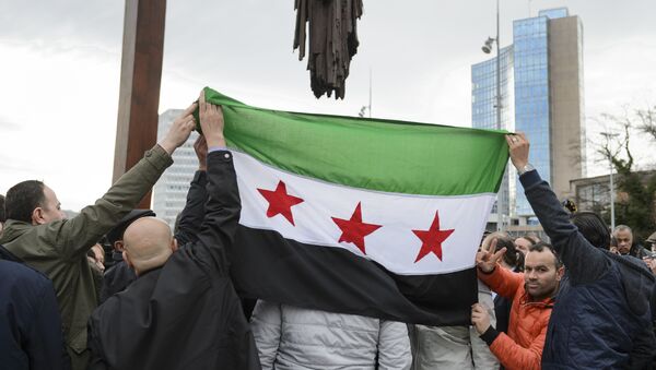 Los partidarios del Alto Comité de Negociaciones de Siria con la bandera de Siria - Sputnik Mundo
