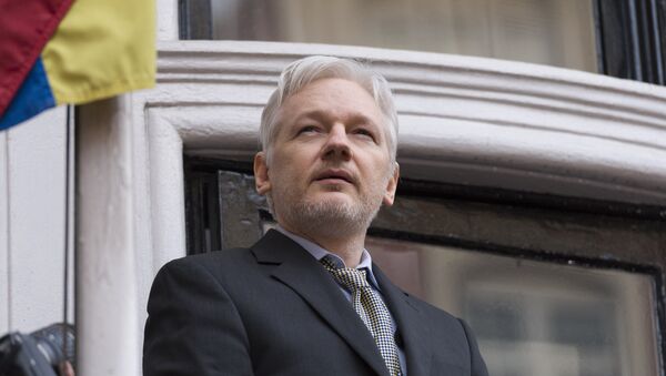 Assange spricht vom Balkon der Botschaft Ecuadors aus - Sputnik Mundo