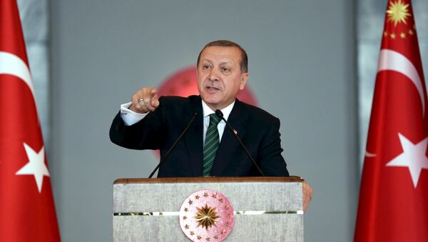 Turkish President Tayyip Erdogan makes a speech during a meeting in Ankara, Turkey February 17, 2016, - Sputnik Mundo
