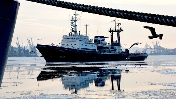 Торжественная встреча отряда кораблей Тихоокеанского флота во Владивостоке - Sputnik Mundo