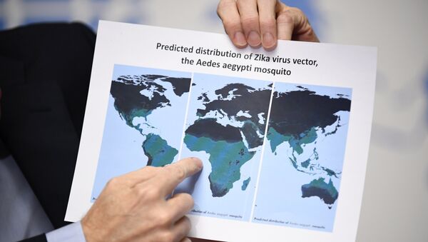 Mapa de la distribución prevista del virus del Zika - Sputnik Mundo
