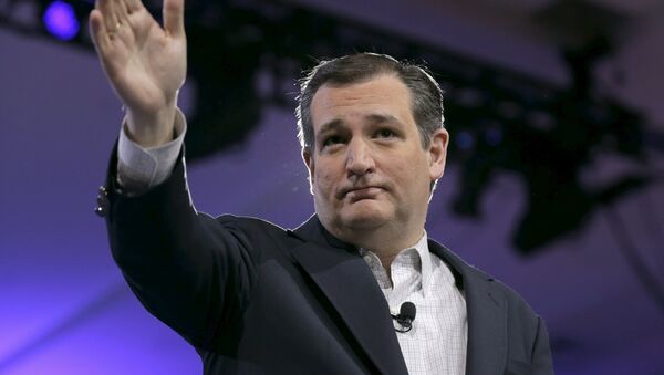 Ted Cruz, precandidato presidencial republicano - Sputnik Mundo