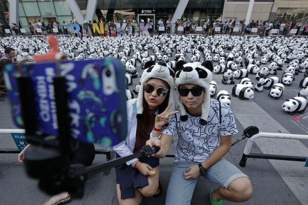 Miles de pandas invaden las calles de Bangkok - Sputnik Mundo