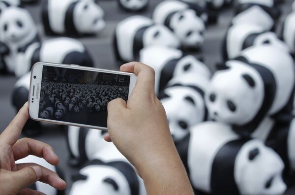 Miles de pandas invaden las calles de Bangkok - Sputnik Mundo