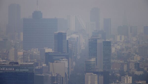 Fracaso de política urbana genera emergencia ambiental en México, dice experta - Sputnik Mundo
