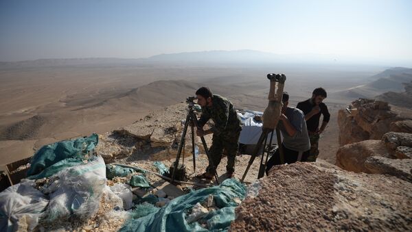Las posiciones del Ejército sirio cerca de Palmira - Sputnik Mundo