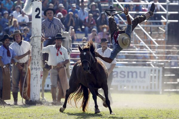 Rodeo en Montevideo: La competencia de los gauchos más valientes - Sputnik Mundo