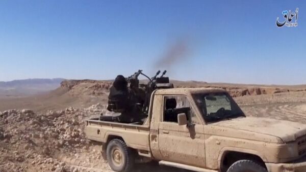 An Islamic State fighter fires an anti-aircraft gun in this still image taken from a video said to be taken on the outskirts of Palmyra and uploaded on March 21, 2016 by an agency affiliated to the Islamic State, as Syrian government forces push their way into Palmyra while the army attempts to recapture the historic city from Islamic State. - Sputnik Mundo