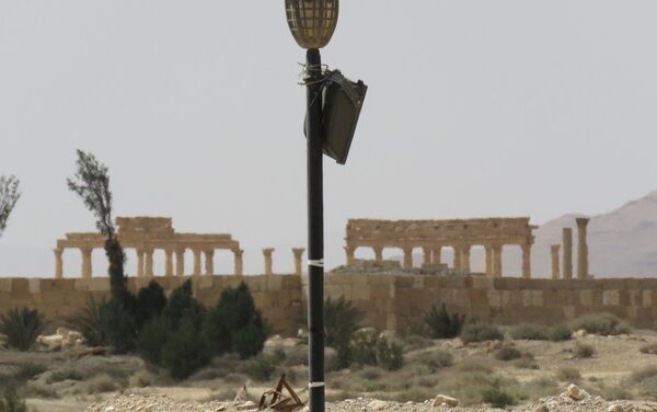 Palmira liberada de los yihadistas, que tenían el control de la histórica ciudad desde hacía un año - Sputnik Mundo