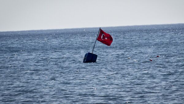 Turkey flag - Sputnik Mundo