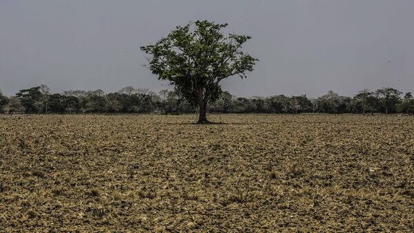 Sequía en Colombia - Sputnik Mundo