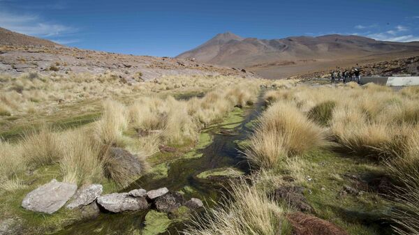 Un manantial del Silala, cerca de La Paz, Bolivia (archivo) - Sputnik Mundo
