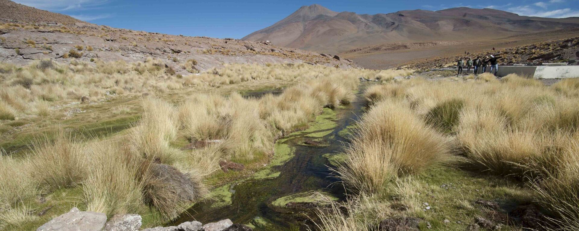 Water runs in one of the springs in Silala, south of La Paz - Sputnik Mundo, 1920, 01.04.2022