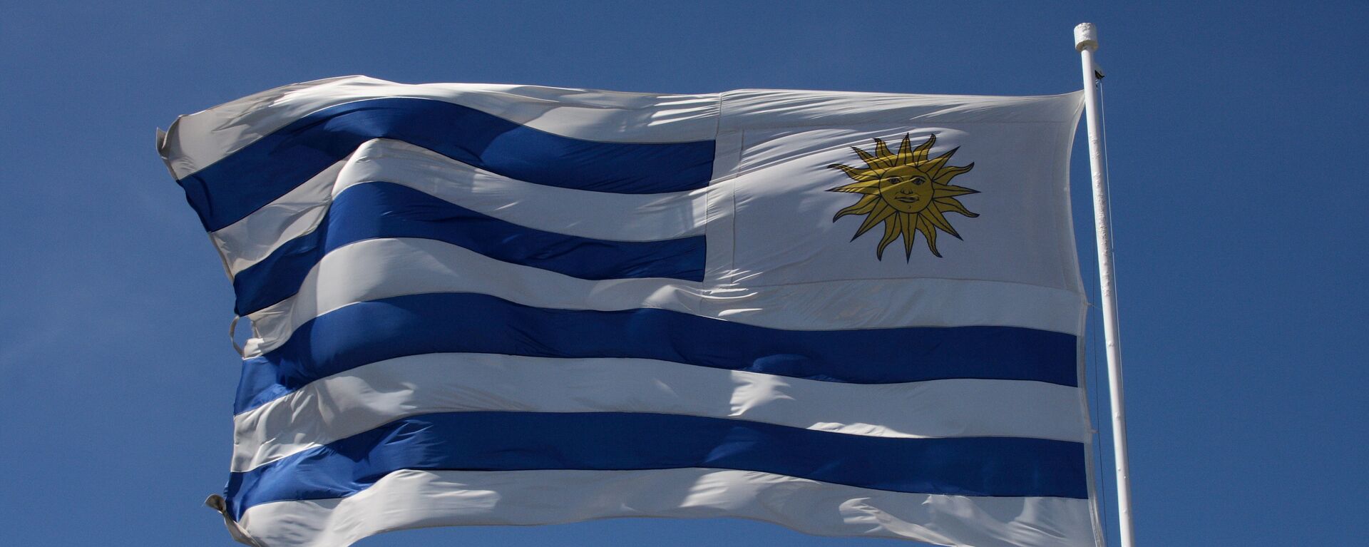 La bandera de Uruguay - Sputnik Mundo, 1920, 02.09.2021