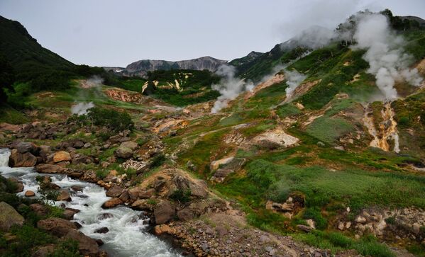 El Valle de Géiseres en Kamchatka: ¡Belleza que te dejará estupefacto! - Sputnik Mundo