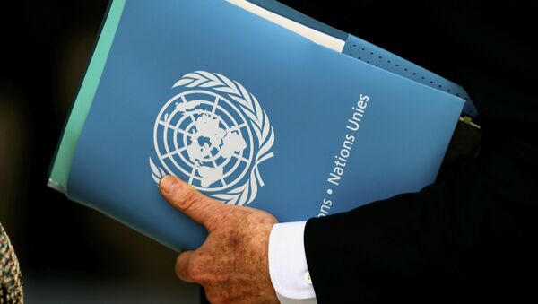 El logo de la ONU en una carpeta - Sputnik Mundo