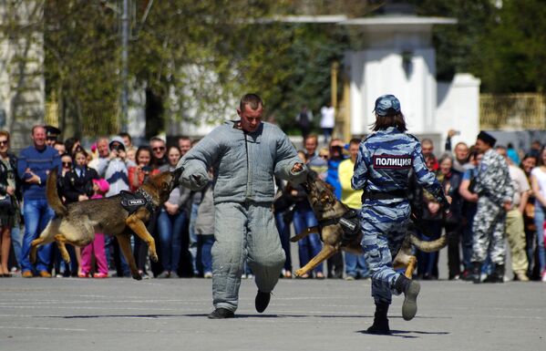 Exhibición del Cuerpo Policial “Berkut” y de las Tropas Especiales de Acción Rápida en Sebastopol - Sputnik Mundo