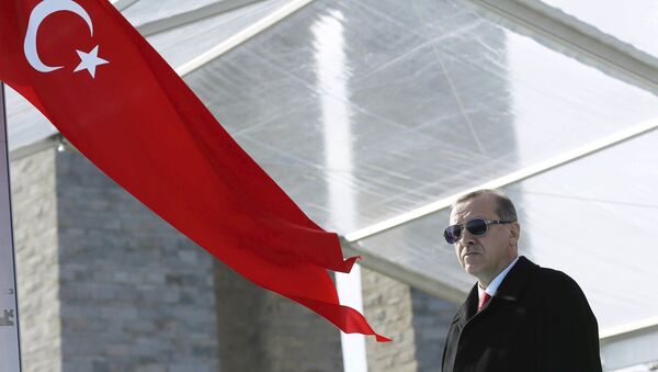Recep Tayiip Erdogan, presidente de Turquía (archivo) - Sputnik Mundo