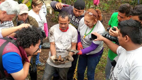 Familiares de desaparecidos encuentran restos humanos en Veracruz, México - Sputnik Mundo