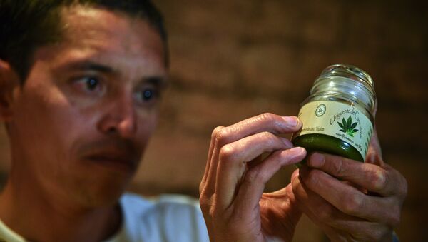 A man holds a cannabis-made product for therapeutic use at a fair of products and derivatives of marijuana for medicinal use in Bogota, Colombia, on December 22, 2015. - Sputnik Mundo