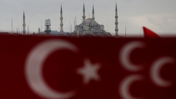 Bandera de Turquía en Estambul (archivo) - Sputnik Mundo