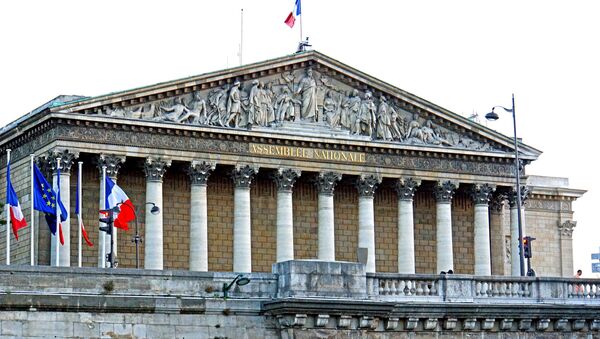 La Asamblea Nacional de Francia - Sputnik Mundo
