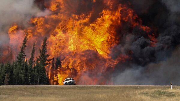 Incendio forestal en Canadá - Sputnik Mundo