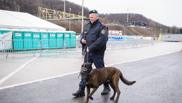 An Austrian police officer patrols with a dog at an refugee centre in Spielfeld at the Austrian-Slovenian border as Austria imposes a new daily migrant limit on February 19, 2016. - Sputnik Mundo