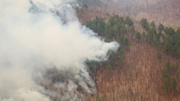 Incendios forestales en el Lejano Oriente ruso - Sputnik Mundo