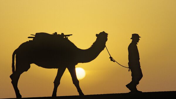 Un camello con su amo - Sputnik Mundo